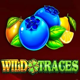 Official Slots logo: Wild Traces by Amusnet Interactive at Festival Play Casino